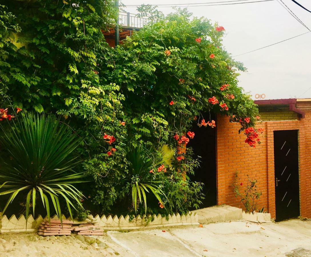 9 Borbalo Street With Terrace تبليسي